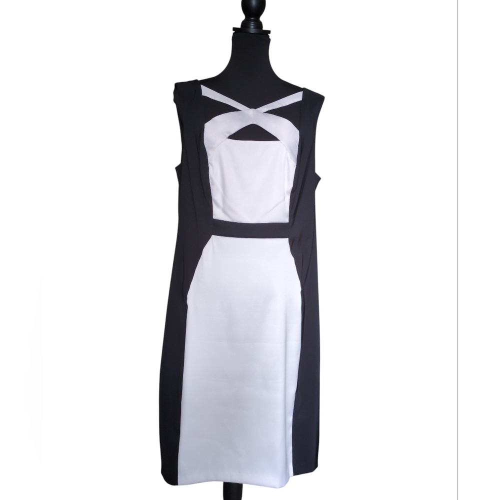 Connected Apparel Black and White Midi Dress